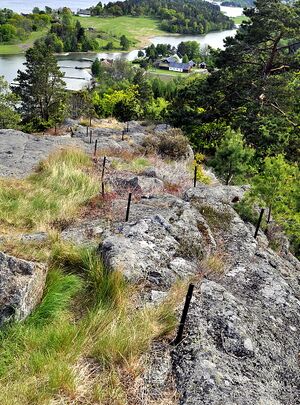 Sundaas piggtrådsperring.jpg