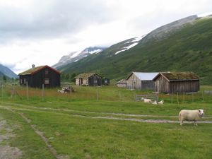 Svartaadalen midtre.JPG