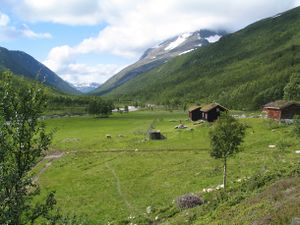 Svartaadalen nedre.JPG