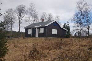 Svartbørja (Kongsvinger gnr. 25 1) 2021.jpg