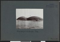 143. Svartskjær søndenfor Ula - no-nb digifoto 20160317 00367 bldsa NGU0048.jpg