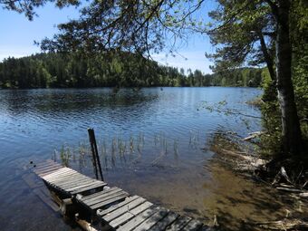 Svartskurden (be-2010-06-06-CIMG0488).JPG