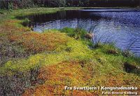 124. Svarttjern (Skedsmo).jpg