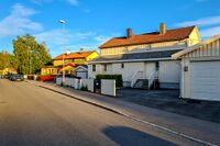Vertikaldelte svenskehus i Hellerudfaret på Trasop. Foto: Leif-Harald Ruud (2021)
