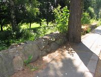 Foto: Stig Rune Pedersen (2013).