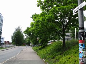 Svovelstikka Oslo 2015.jpg