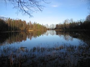 Sydlige dam sett fra syd.jpg