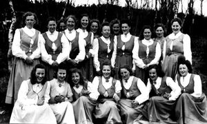 Sykurs på Breistrand.jpg