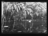 222. Tøienhaven - no-nb digifoto 20160401 00032 NB NS NM 09678.jpg