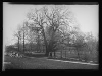 223. Tøienhaven - no-nb digifoto 20160401 00034 NB NS NM 09680.jpg