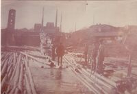 132. Tømmer i Vestfosselva nedenfor Vestfos Cellulose (oeb-179246).jpg