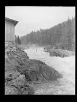 14. Tømmerfløting i Skjerva - no-nb digifoto 20150716 00258 NB MIT FNR 15998.jpg