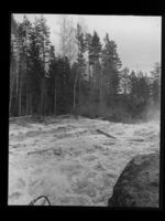 8. Tømmerfløting i Skjerva - no-nb digifoto 20150716 00262 NB MIT FNR 15999.jpg
