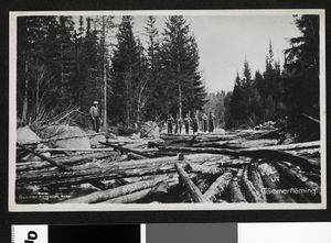 Tømmerfløtning - no-nb digifoto 20140612 00011 blds 05703.jpg