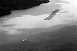 Tømmerslepene over Øyeren var de største buntslepene i Norge med normalt opp mot 200 000 stokker – unntaksvis opptil 325 0000 stokker. Slepet på bildet er fra 1984 og bare halvparten av normal størrelse. Fra 1960-tallet ble stadig mer av tømmeret fraktet landverts. Foto: Fetsund Lenser (1980).