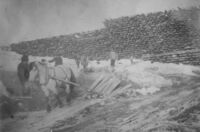 122. Tømmertomtene ved Vestfos Cellulosefabrik (oeb-178945).jpg