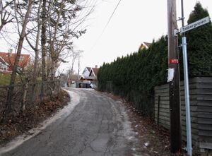 Tallbergveien Oslo 2015.jpg