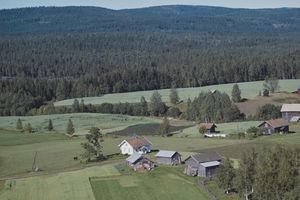 Tangen søndre (Kongsvinger gnr. 56 24) 1961.jpg