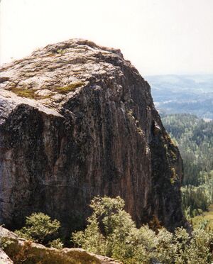 Tekslehogget Buskerud 1984.jpg