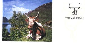 Telemarkskyri meieri.jpg