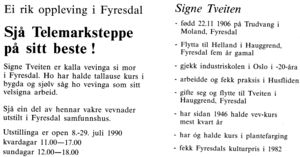 Telemarksteppe. Brosjyre utstilling 1990.jpg