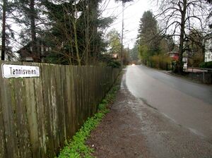 Tennisveien Oslo 2015.jpg