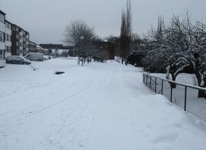 Theodor Dahls vei Oslo 2015.jpg