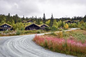 Tinn, Brendstaul nordvegen-1.jpg