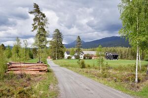 Tinn, Fosso-Linøyvegen-1.jpg