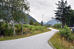 Tinn, Hasselvegen-1.jpg