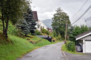 Tinn, Skogveien-1.jpg