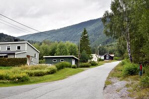 Tinn, Smedshusvegen-1.jpg