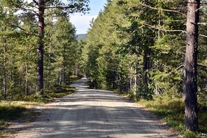 Tinn, Svimbilvegen-1.jpg