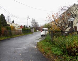 Tittutgrenda Oslo 2013.jpg