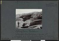 141. Tjølling, Rauer, Vasholmen. Jettegryter - no-nb digifoto 20160317 00375 bldsa NGU0056.jpg