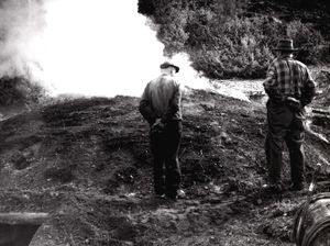 Tjørebrenning 1960.jpg