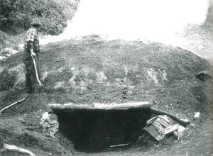 Tjøremile O Viken 1960.jpg