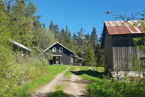 Tjernsli under Lier Kongsvinger 2021.jpg