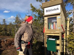 Tjuvåskampen mikrobibliotek.jpg