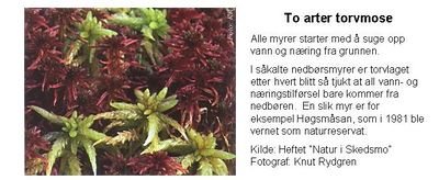 To arter torvmose.jpg