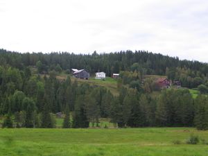 Tokke, Skafså søndre (133-1) IMG 1379.JPG