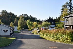 Tokke, Tone Bakkens veg-1.jpg