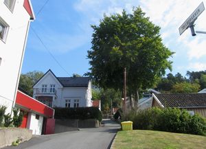 Tollbubakken Drøbak 2013.jpg