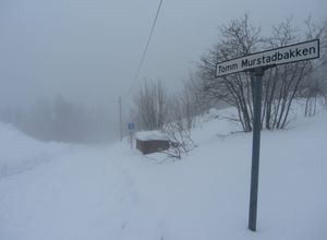 Tomm Murstadbakken Oslo 2014.jpg