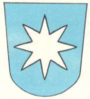 Skjoldet i Toreid ættens slektsvåpen i moderne stil