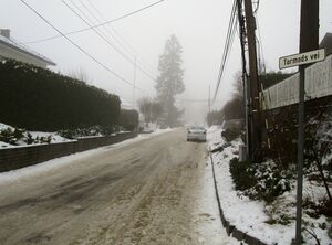 Tormods vei Oslo 2015.jpg