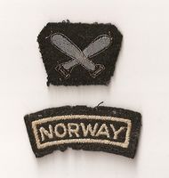 Torpedotroppens insignier.