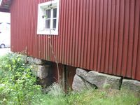 Torshaug uthus. Fjøskjellaren. (Foto: Olav Momrak-Haugan, 2011)