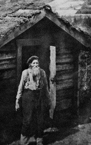 Tosten Raudskjegg.jpg