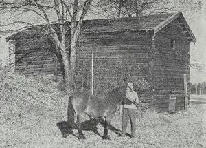 Toten prestegard badstue.jpg